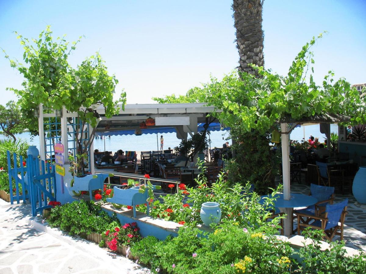 Diogenis Studios Naxos City Exteriör bild